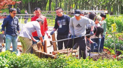 WDCM上传图片 WDCM上传图片